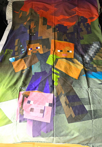 Character world minecraft - character,